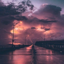 purple-20-17-15 avatar