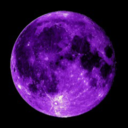 purple-is-a-color avatar