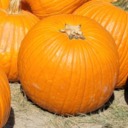 purple-ishpenguin avatar