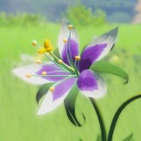 purple-lilly avatar