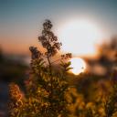 purple-plaid-pencil avatar