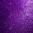 purple-poet avatar