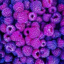 purple-raspberry avatar