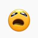 purple-starfish avatar