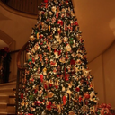 purple-the-creative avatar