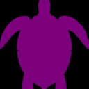 purple-turtle-67 avatar