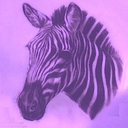 purple-zebra-creations avatar