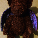 purplebatbear avatar