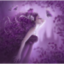 purplebutterflycascade avatar