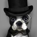 purpledanklove avatar