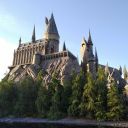 purpledolpin05 avatar