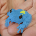 purpledsunrise avatar