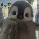 purpleender29 avatar