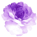 purpleflowersjournal avatar