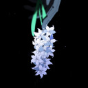 purplehyacinthsimp avatar