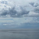 purpleisland613 avatar