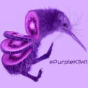 purplek1w1 avatar