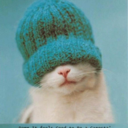 purplekittywuman avatar