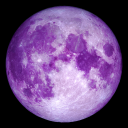 purplemoons-world avatar