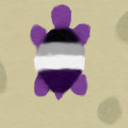 purplemoonturtle avatar