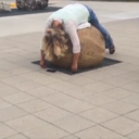 purpleowlwithcurlyfeathers avatar