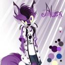 purplepartywolf avatar