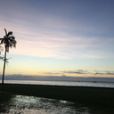 purplepenguinswagger avatar