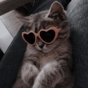 purplepinkskies9 avatar