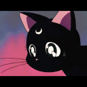 purpleraindropz avatar