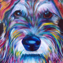 purpleschnauzer avatar