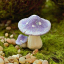 purpleshroom avatar