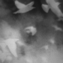 purplesilencesmile avatar