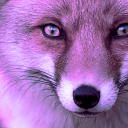 purplesmokykitsune avatar