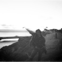 purplevelvet-roses avatar