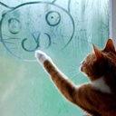 purpurpurpurpur avatar