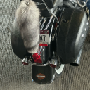 purringwmyself avatar