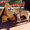 pursuingtheewellness avatar