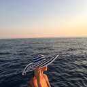 pursuit-of-beauty avatar