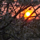 pursuitofwisdom avatar