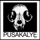 pusakalyerace-blog avatar