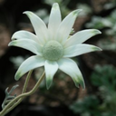 pushingthepull avatar