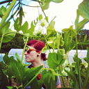 pushpinorpoetry avatar