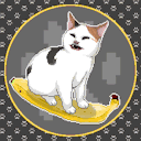 pusscatbuttons avatar