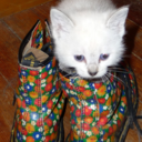 pussindocs avatar