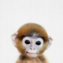 pussy-slayerr-69 avatar