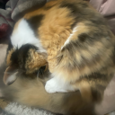 pussyeater876 avatar