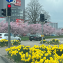 pussytussigangbang avatar