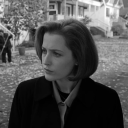 pussywinegirl avatar