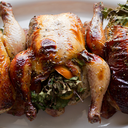 put-food-in-me avatar