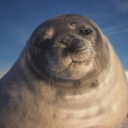 put-me-down-please avatar